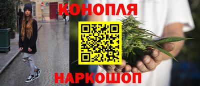 МДПВ Пушкино