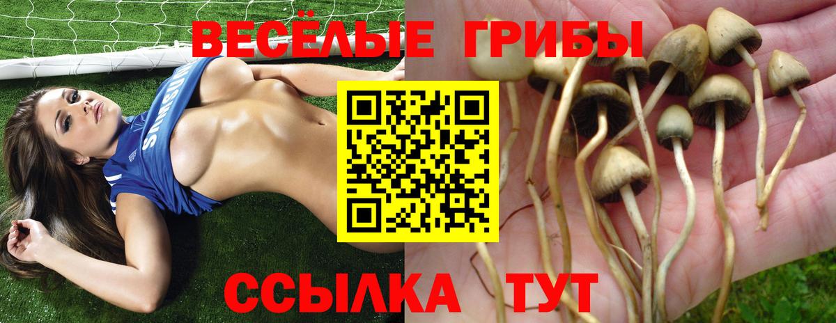 Псилоцибиновые грибы мухоморы Азнакаево